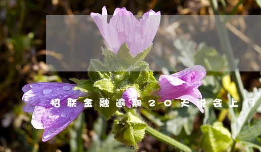 招联金融逾期20天说会上门
