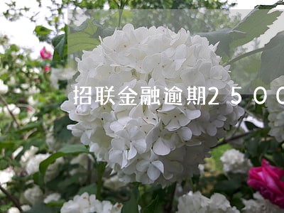招联金融逾期2500 招联金融逾期2500