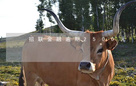 招联金融逾期2500元 招联金融逾期2500元