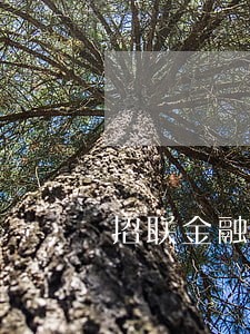 招联金融逾期25万一年立案 招联金融逾期25万一年立案