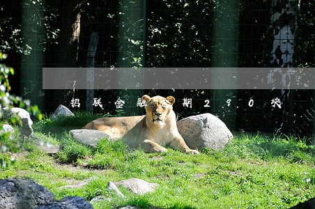 招联金融逾期290块 招联金融逾期290块