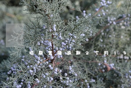 招联金融逾期2个月1300 招联金融逾期2个月1300