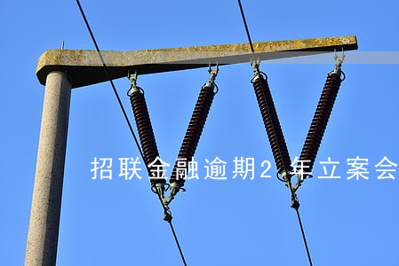 招联金融逾期2年立案会坐牢 招联金融逾期2年立案会坐牢