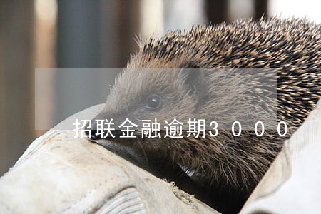招联金融逾期3000 招联金融逾期3000