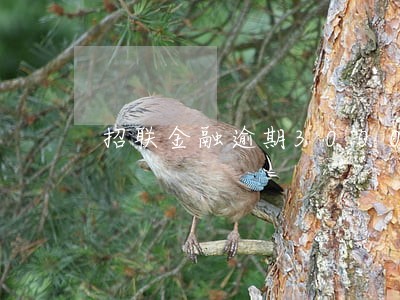 招联金融逾期3000说要报案 招联金融逾期3000说要报案