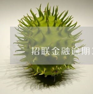 招联金融逾期30分钟有什么影响 招联金融逾期30分钟有什么影响