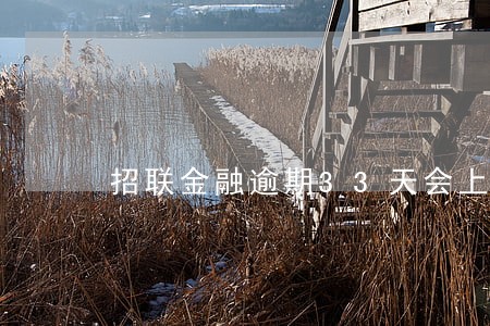 招联金融逾期33天会上门吗 招联金融逾期33天会上门吗