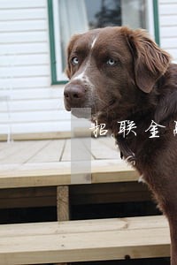 招联金融逾期36期 招联金融逾期36期