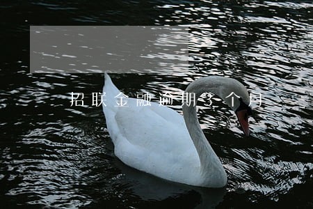 招联金融逾期3个月 招联金融逾期3个月