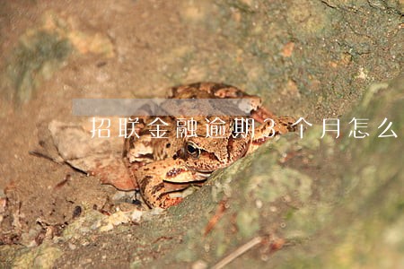 招联金融逾期3个月怎么办 招联金融逾期3个月怎么办