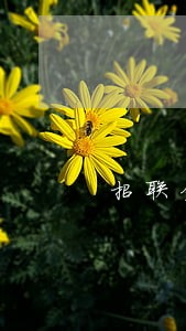 招联金融逾期3多天 招联金融逾期3多天