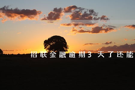 招联金融逾期3天了还能借吗 招联金融逾期3天了还能借吗