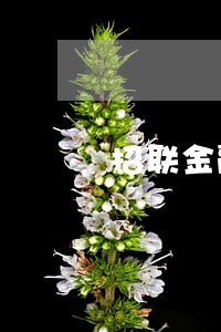 招联金融逾期3天会怎么样 招联金融逾期3天会怎么样