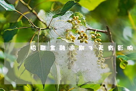 招联金融逾期3天有影响 招联金融逾期3天有影响