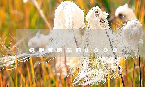 招联金融逾期4000 招联金融逾期4000