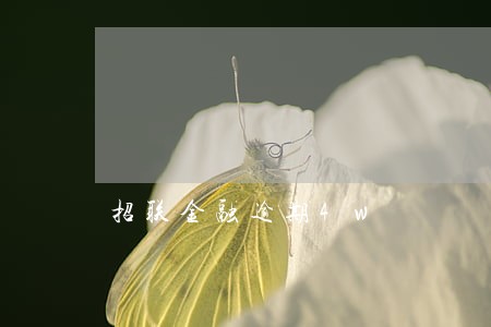 招联金融逾期4w 招联金融逾期4w