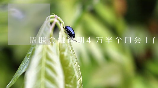 招联金融逾期4万半个月会上门吗 招联金融逾期4万半个月会上门吗