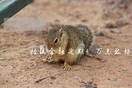 招联金融逾期4万怎么协商 招联金融逾期4万怎么协商