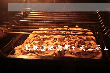 招联金融逾期4天上不上征信 招联金融逾期4天上不上征信