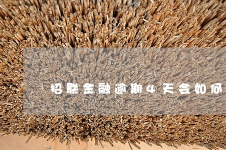 招联金融逾期4天会如何处理 招联金融逾期4天会如何处理