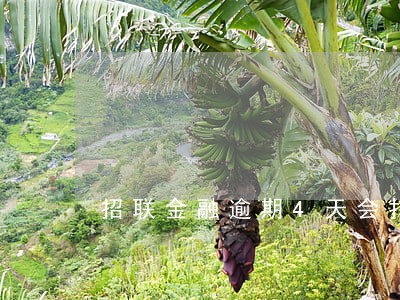 招联金融逾期4天会打通讯录吗 招联金融逾期4天会打通讯录吗