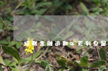 招联金融逾期4天利息是多少 招联金融逾期4天利息是多少