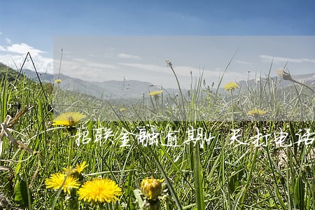 招联金融逾期4天打电话 招联金融逾期4天打电话