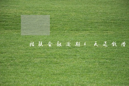 招联金融逾期4天还能借吗 招联金融逾期4天还能借吗
