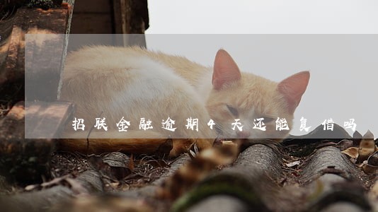 招联金融逾期4天还能复借吗 招联金融逾期4天还能复借吗