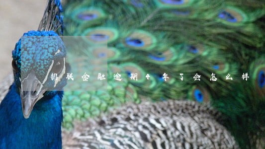 招联金融逾期4年了会怎么样 招联金融逾期4年了会怎么样