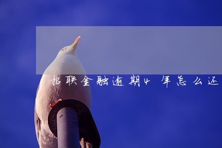 招联金融逾期4年怎么还款 招联金融逾期4年怎么还款