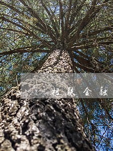 招联金融逾期5w半年 招联金融逾期5w半年