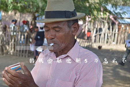 招联金融逾期5万怎么不打电话了 招联金融逾期5万怎么不打电话了