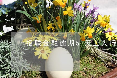 招联金融逾期5天上人行征信 招联金融逾期5天上人行征信