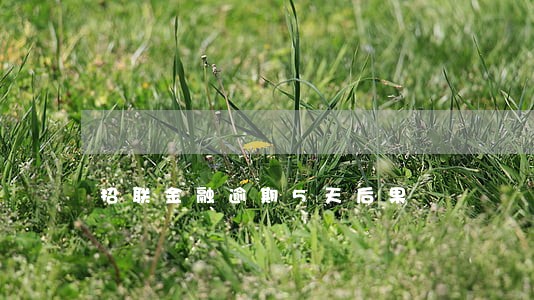 招联金融逾期5天后果 招联金融逾期5天后果