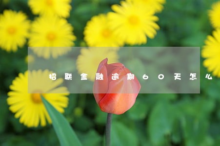 招联金融逾期60天怎么处理 招联金融逾期60天怎么处理