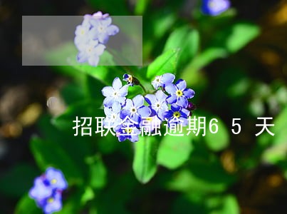 招联金融逾期65天 招联金融逾期65天