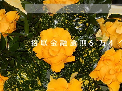 招联金融逾期6万4个月 招联金融逾期6万4个月