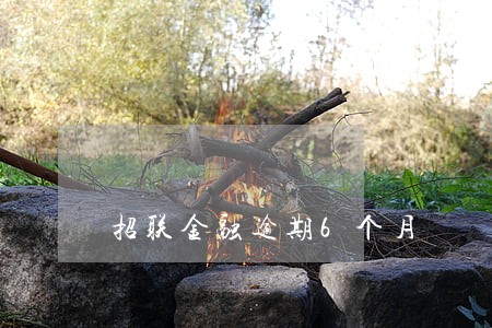 招联金融逾期6个月 招联金融逾期6个月