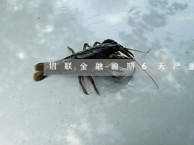 招联金融逾期6天严重吗 招联金融逾期6天严重吗