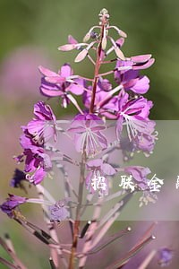 招联金融逾期6天会怎么样 招联金融逾期6天会怎么样