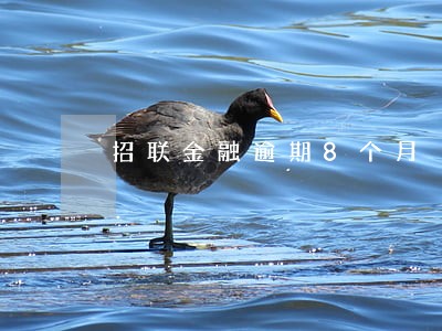 招联金融逾期8个月 招联金融逾期8个月