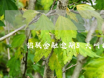 招联金融逾期8天叫我还全款 招联金融逾期8天叫我还全款