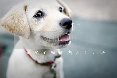 招联金融逾期900块 招联金融逾期900块