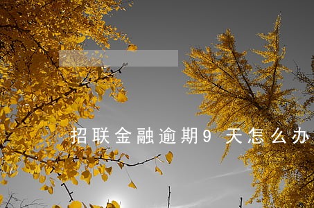 招联金融逾期9天怎么办 招联金融逾期9天怎么办