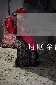招联金融逾期了300元 招联金融逾期了300元