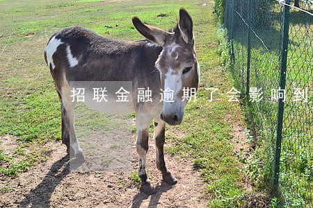 招联金融逾期了会影响到信用卡吗 招联金融逾期了会影响到信用卡吗
