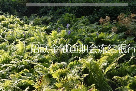 招联金融逾期会冻结银行卡 招联金融逾期会冻结银行卡