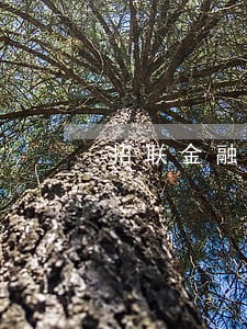 招联金融逾期几天上征信6 招联金融逾期几天上征信6