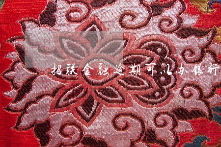 招联金融逾期可以办银行卡吗